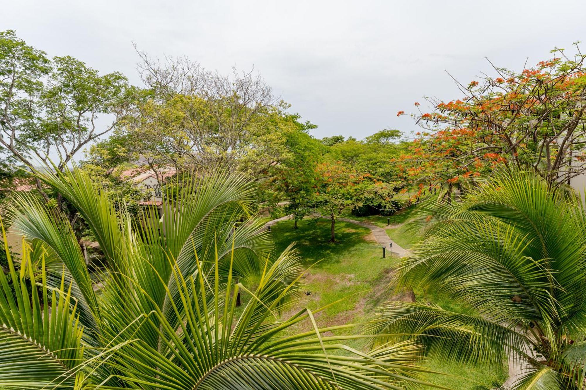 Coco Breeze Private Residence Bagian luar foto