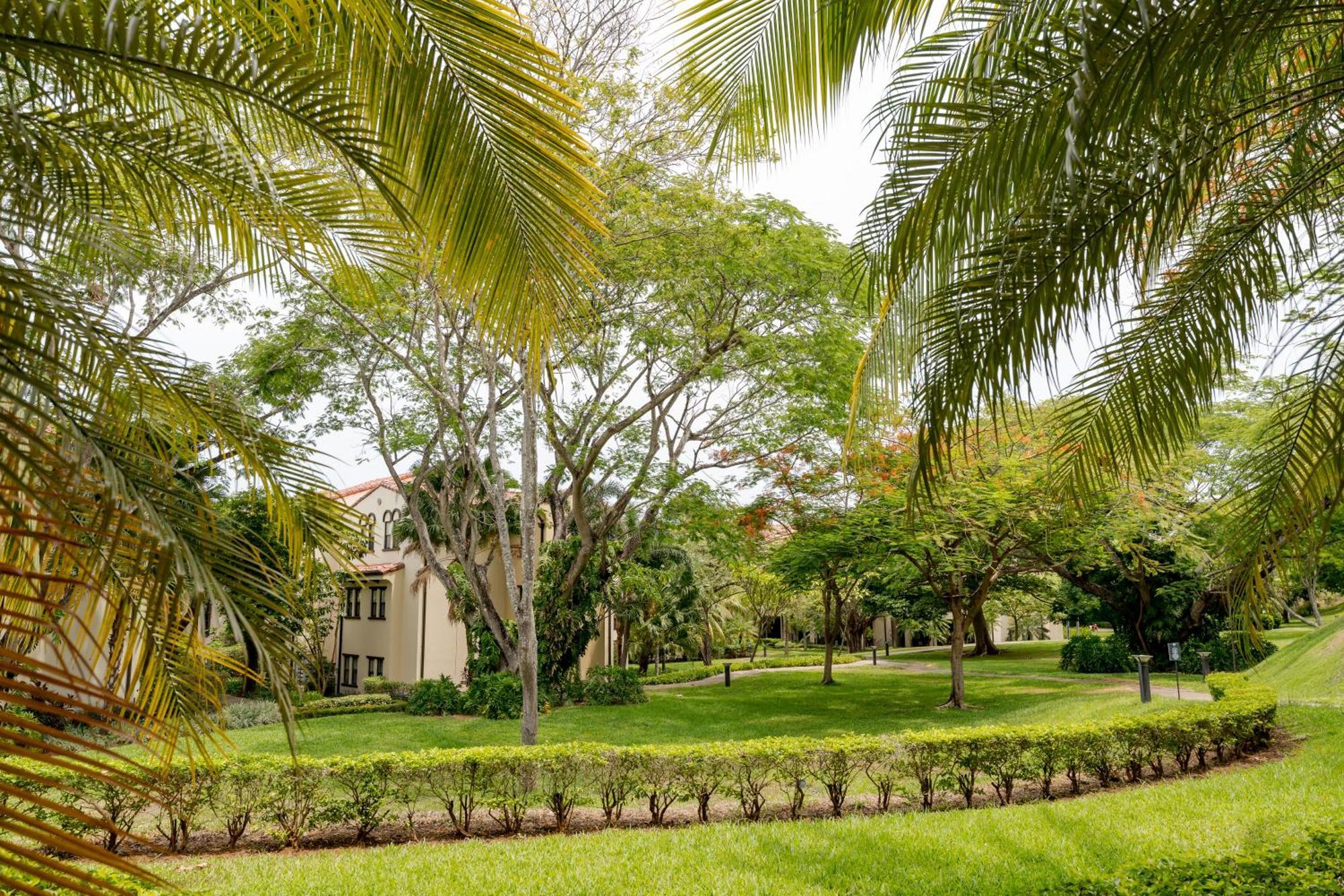 Coco Breeze Private Residence Bagian luar foto